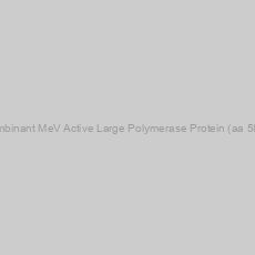 Image of Recombinant MeV Active Large Polymerase Protein (aa 58-149)